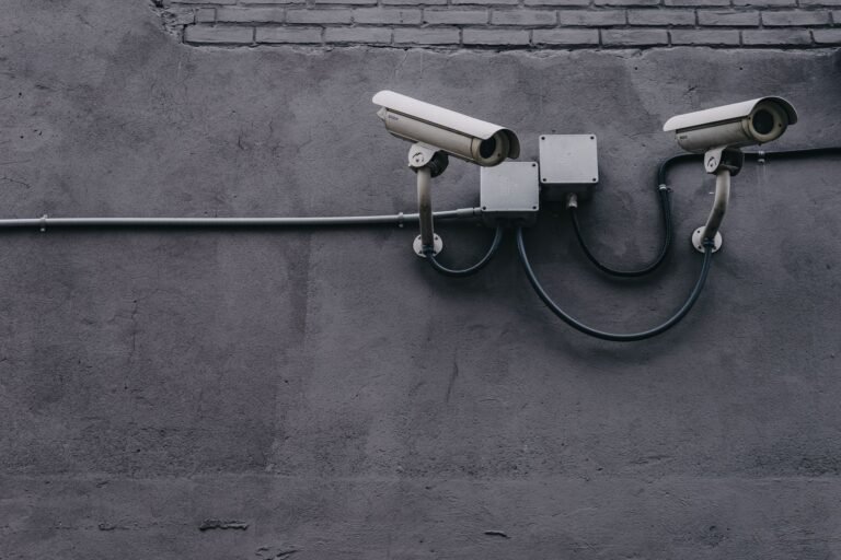 PoE security cameras mounted on a home lab network for a Frigate NVR setup